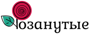 Интернет-магазин Розанутые